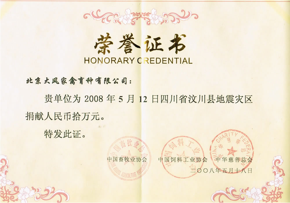 北京大风向地震灾区汶川捐款证书.jpg