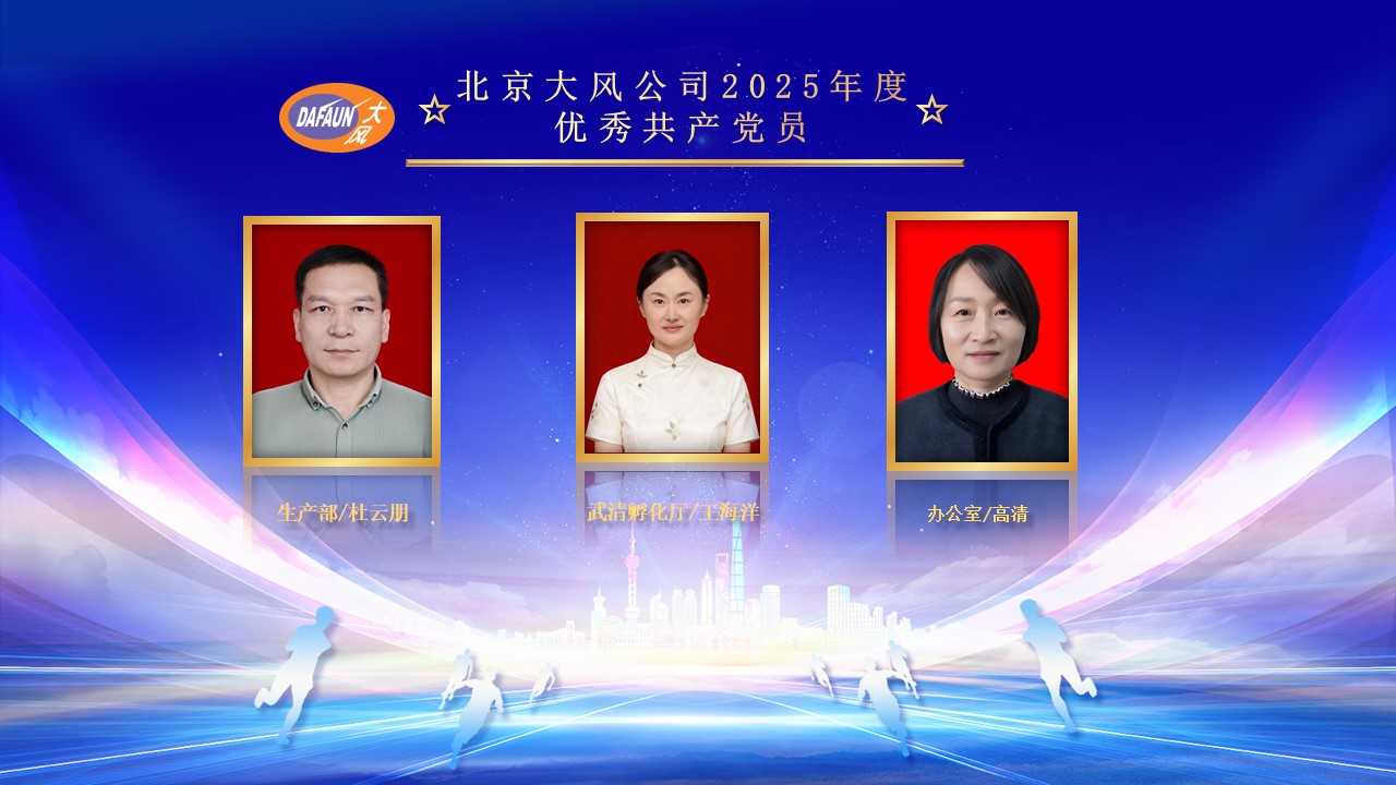 北京大风表彰大会-党员.jpg