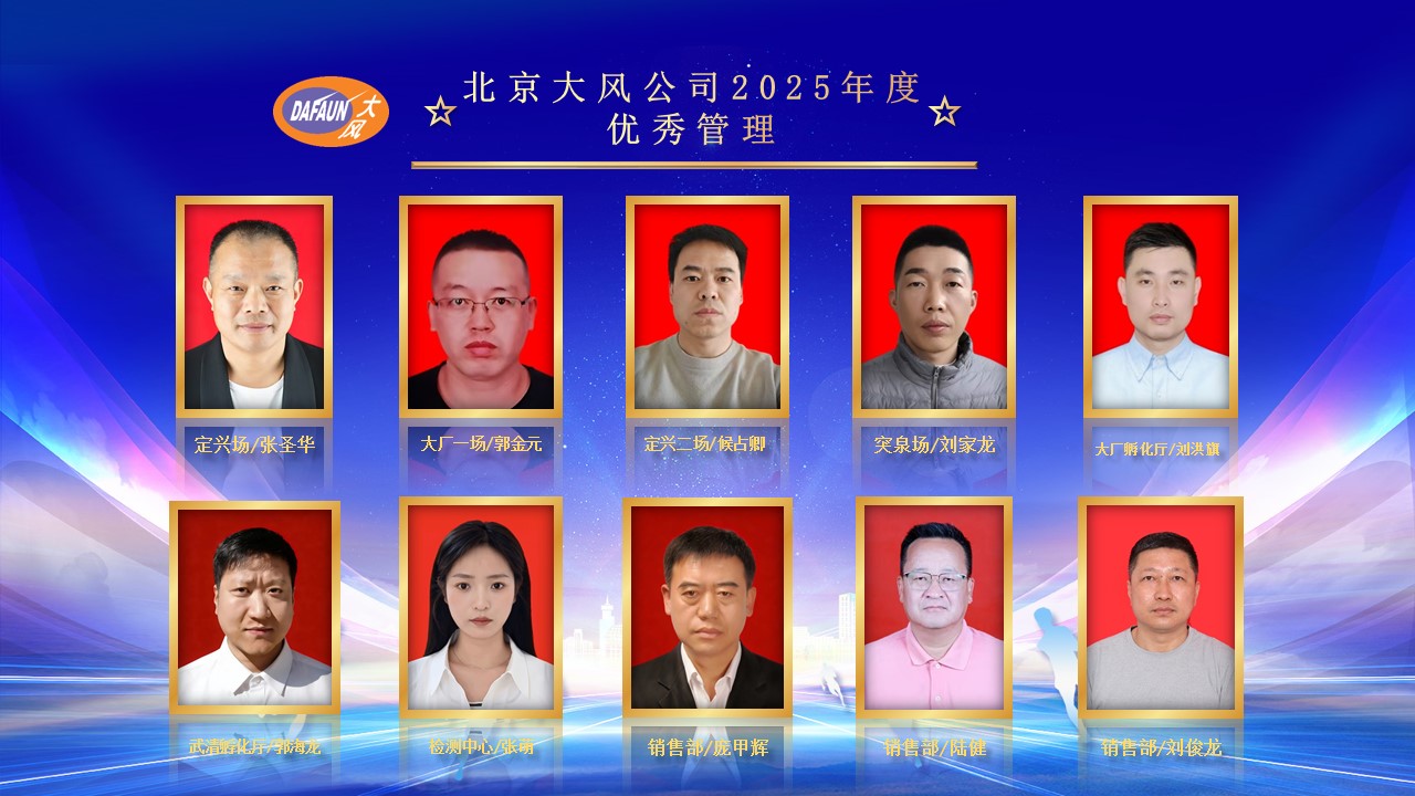 北京大风表彰大会-优秀管理.jpg
