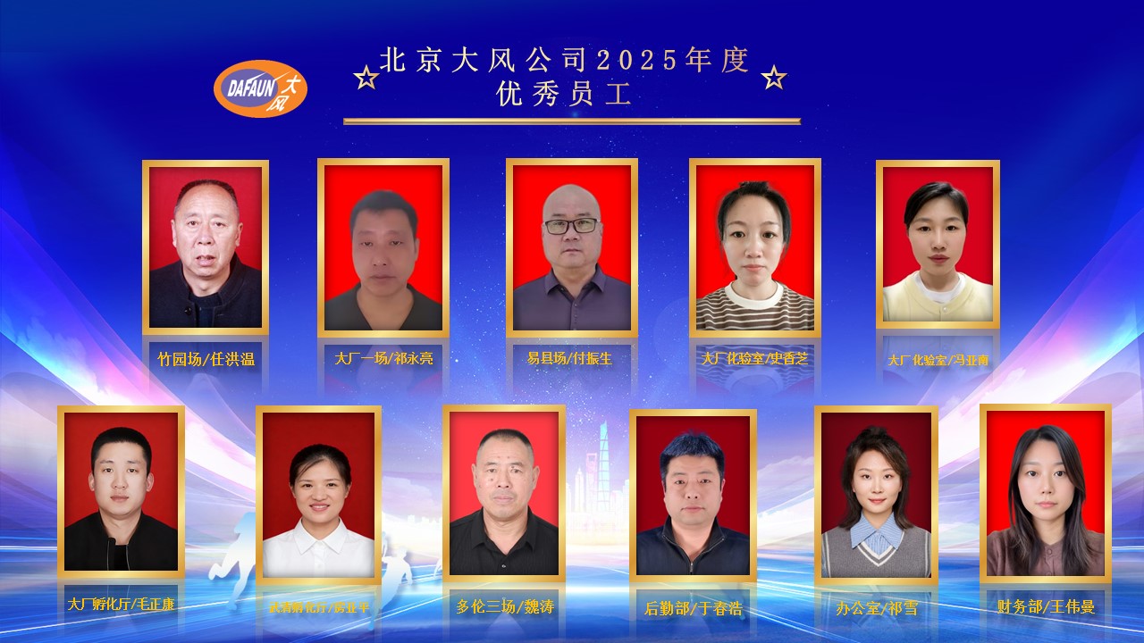 北京大风表彰大会-优秀员工.jpg