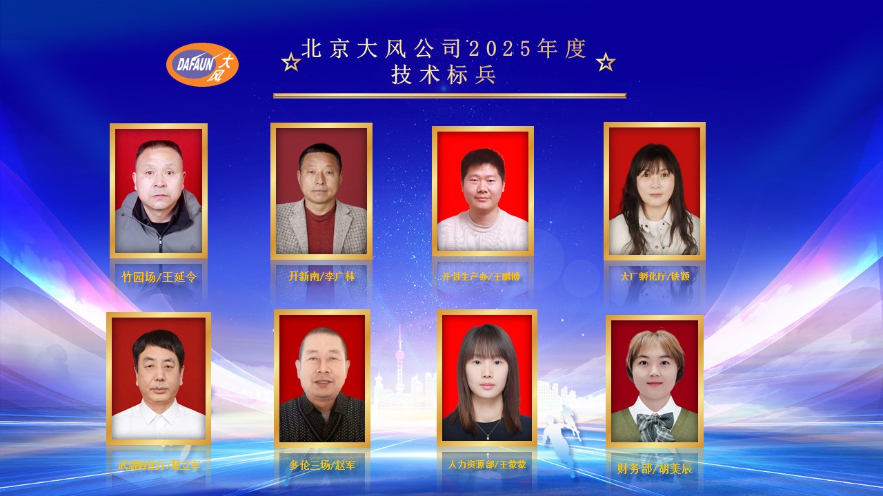 北京大风表彰大会-技术标兵.jpg