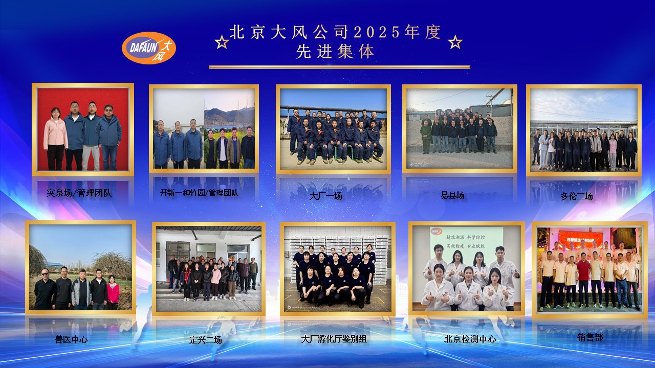 北京大风表彰大会-2025.jpg